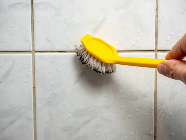 Best Certified Mold Removal  in Walled Lake, MI