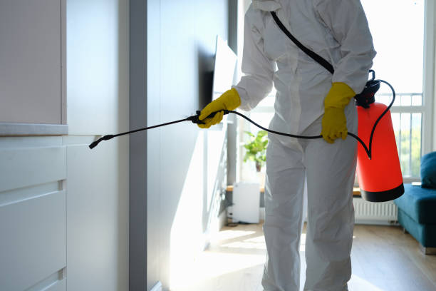 Water Damage Restoration in Walled Lake, MI