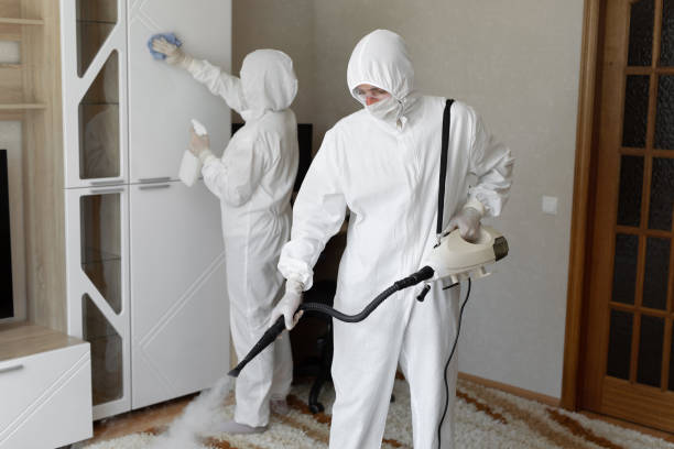 Best Professional Mold Removal  in Walled Lake, MI