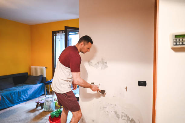 Best Mold Removal Near Me  in Walled Lake, MI